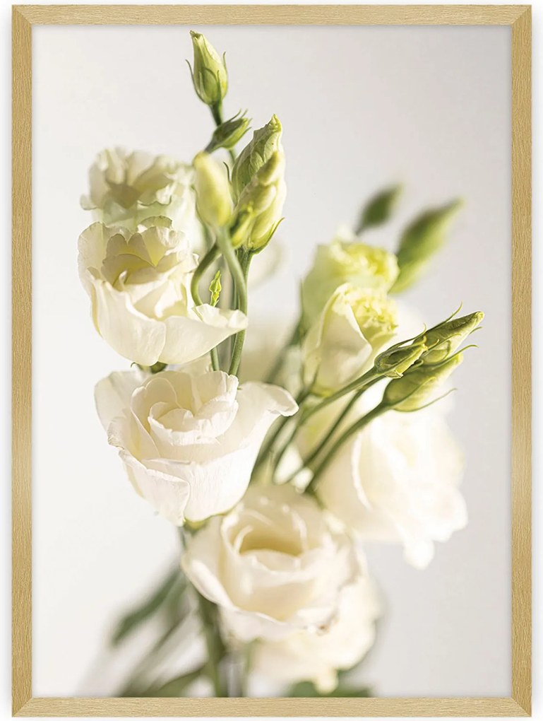 Plagát Elegant Flowers