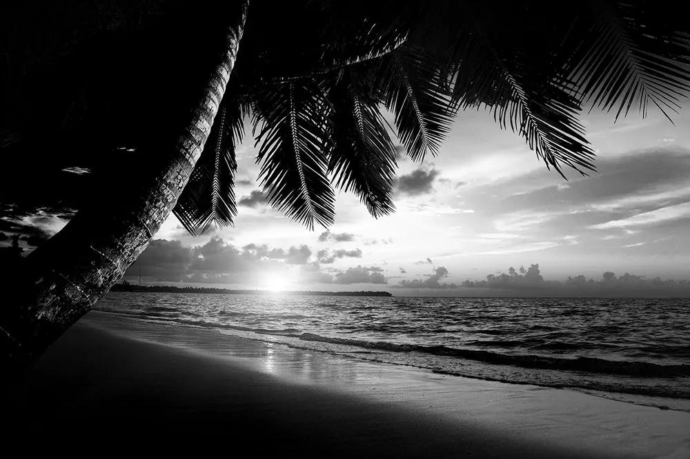 Samolepiaca fototapeta čiernobiely východ slnka na pláži v Karibiku