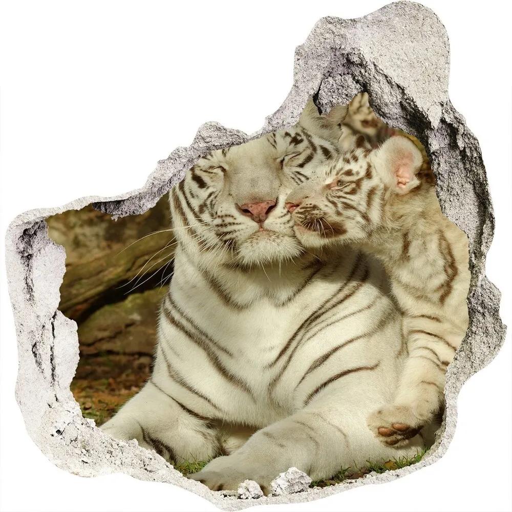 Diera 3D fototapety nálepka Tigre WallHole-75x75-piask-73601237