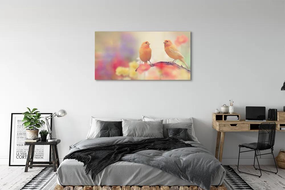 Obraz na akrylátovom skle Farebný papagáj 125x50 cm