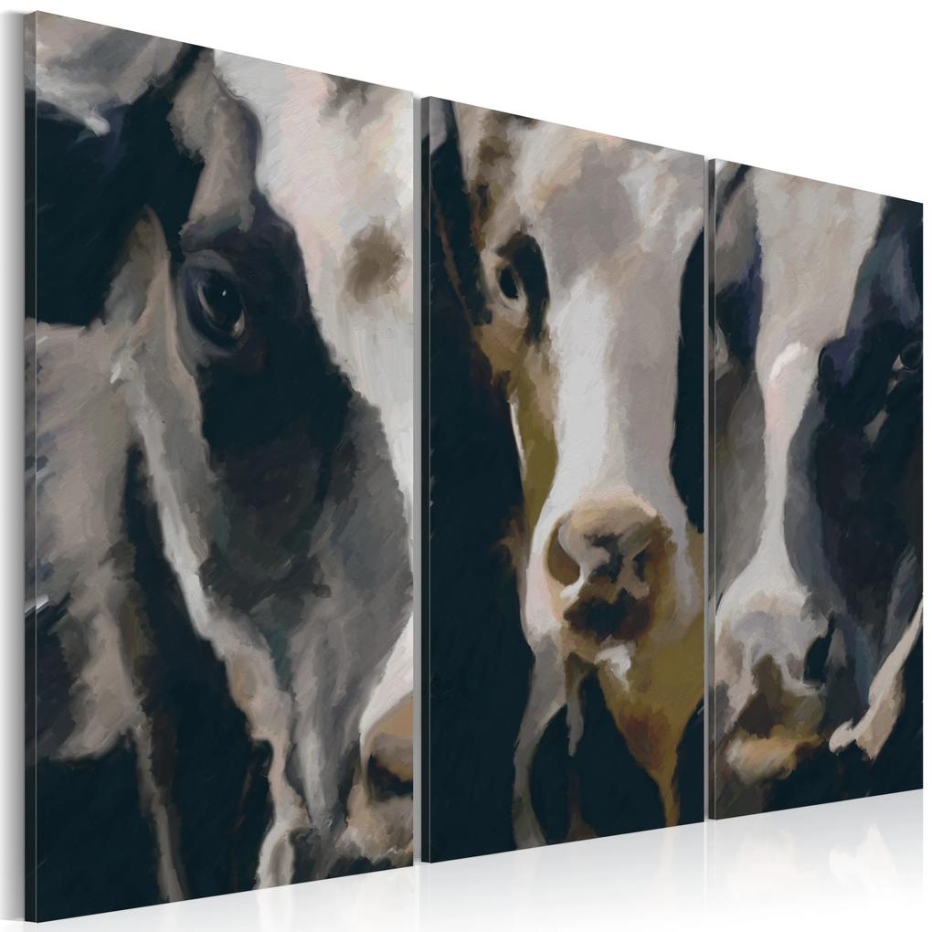 Artgeist Obraz - Piebald cow Veľkosť: 60x40, Verzia: Premium Print