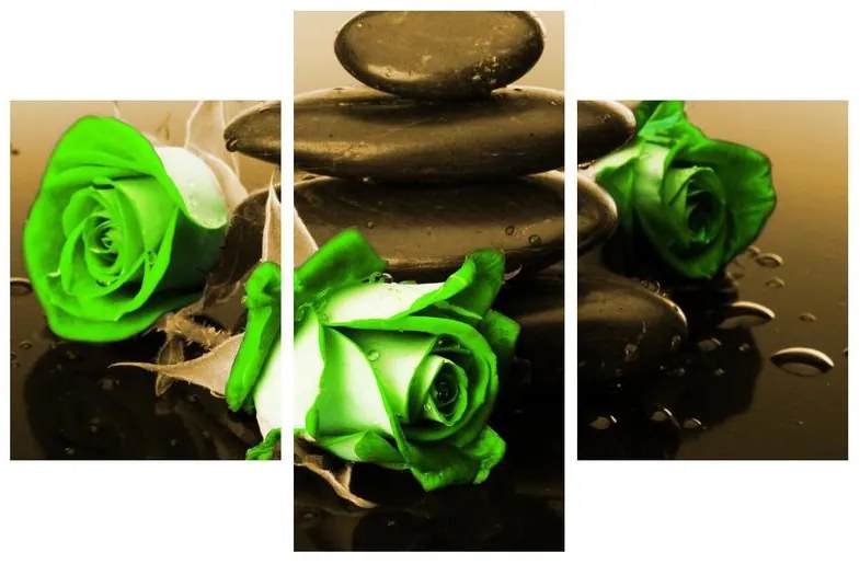 Obraz zelených ruží (90x60 cm)