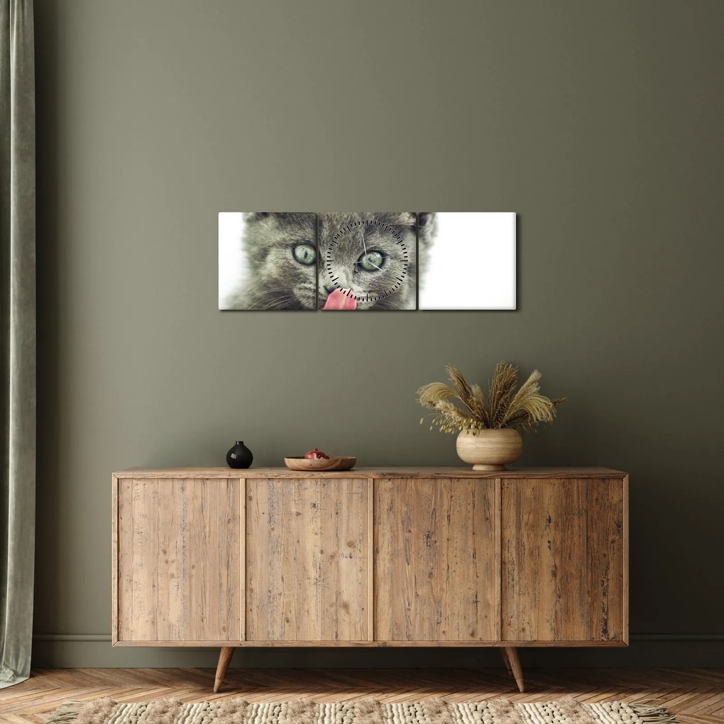 Obraz oblizujícího sa mačiatka (s hodinami) (90x30 cm)