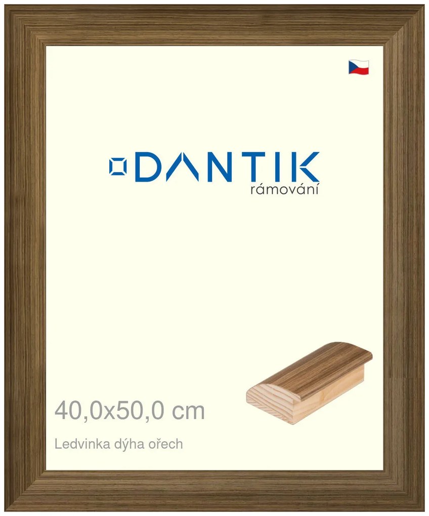 DANTIK rám na obraz 40x50 | LEDVINKA dýha ořech (Sklo Čiré)