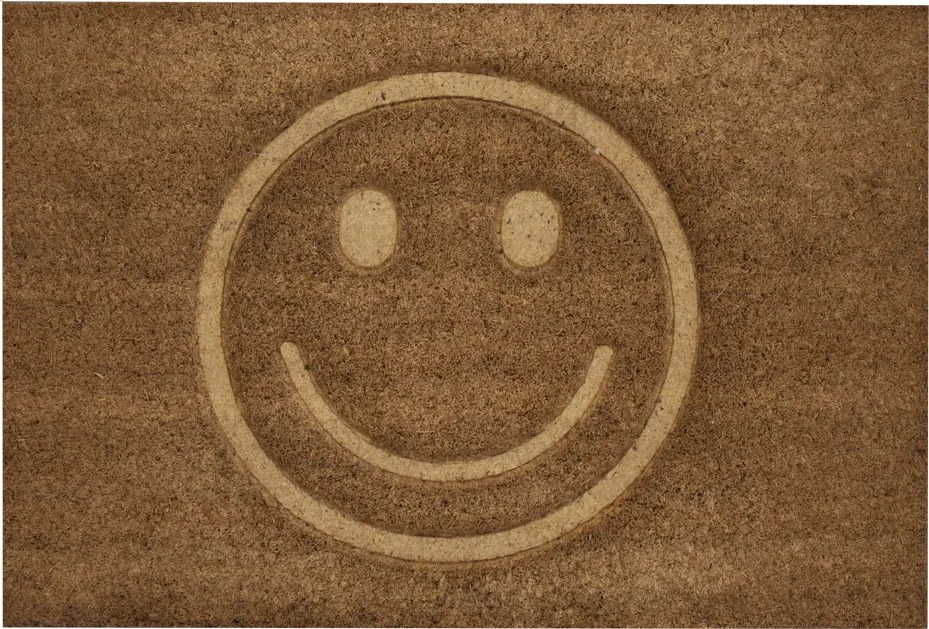 Home Elements Rohožka Smajlík