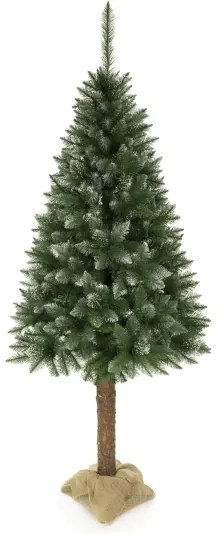 Vianočný stromček 220 cm smrek