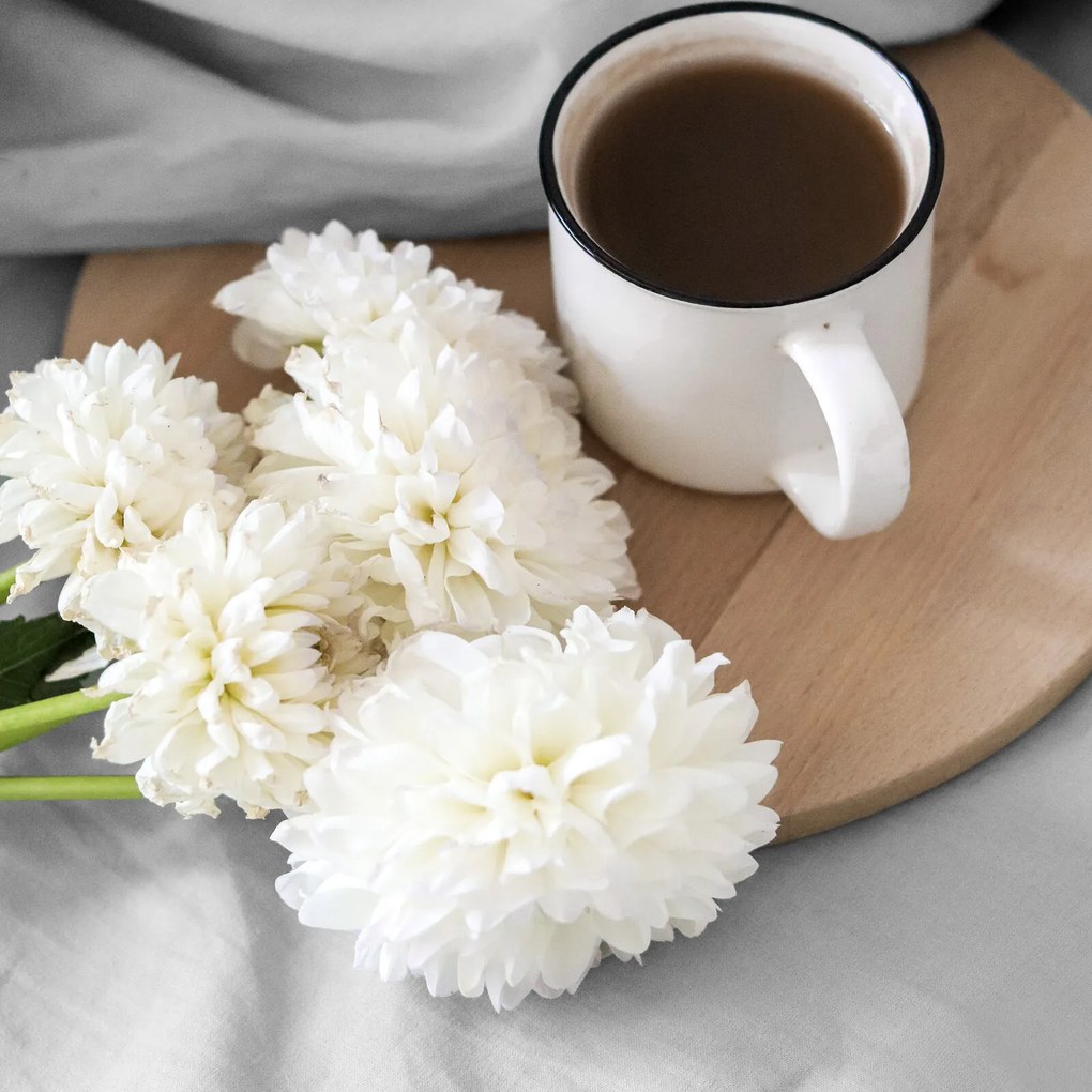 RENFORCÉ PRESTIERADLO BASIC 160X200 CM STRIEBORNÉ