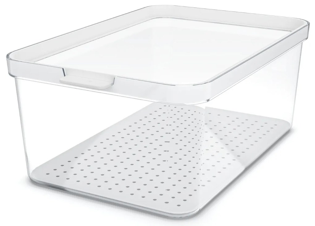 Rotho Organizér do chladničky, s vekom a špeciálnou podložkou 4,65 l CAUMA