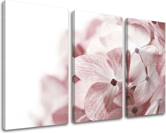 Obraz na stenu 3 dielny KVETY XOBKV114E30 - 90x60 cm