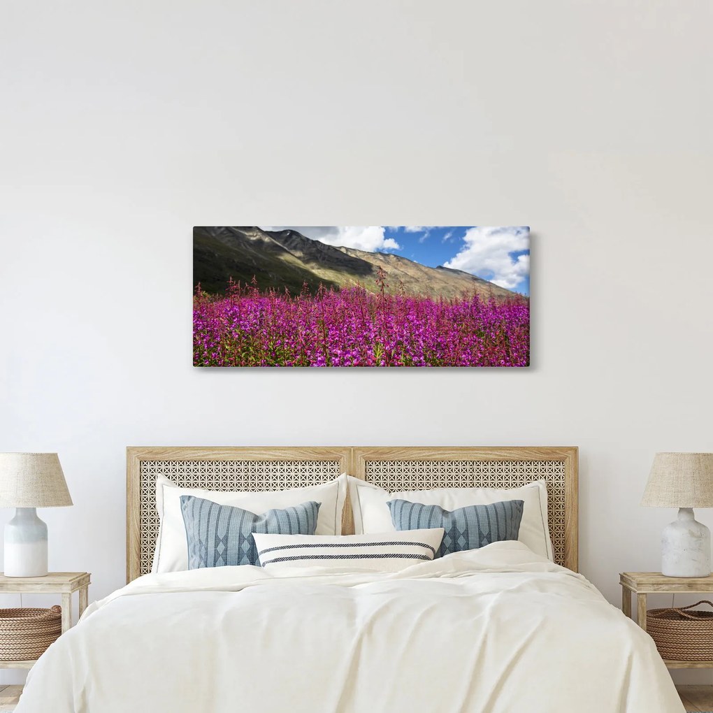 Obraz scenérie horské lúky (120x50 cm)