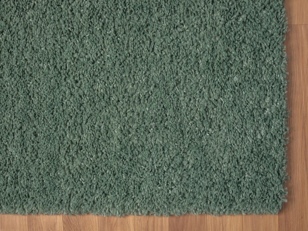 Behúň My Shaggy hellgrün, 80x300, zelená, chodba / predsieň, My Flair