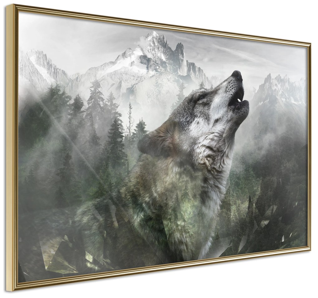 Artgeist Plagát - Howling Wolf [Poster] Veľkosť: 30x20, Verzia: Čierny rám s passe-partout