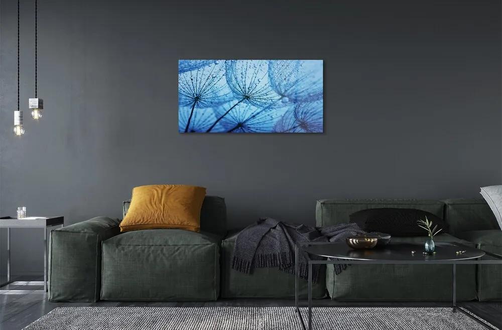 Obraz na skle Kvapky makro púpavy 120x60 cm