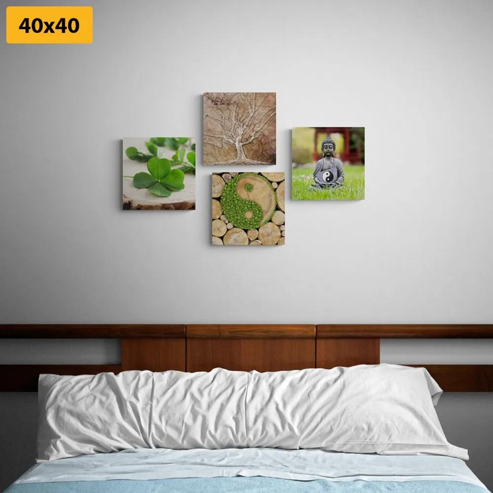 Set obrazov Feng Shui s prvkami prírody Varianta: 4x 40x40
