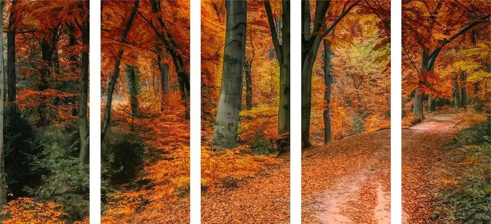 5-dielny obraz les v jesennom období - 200x100