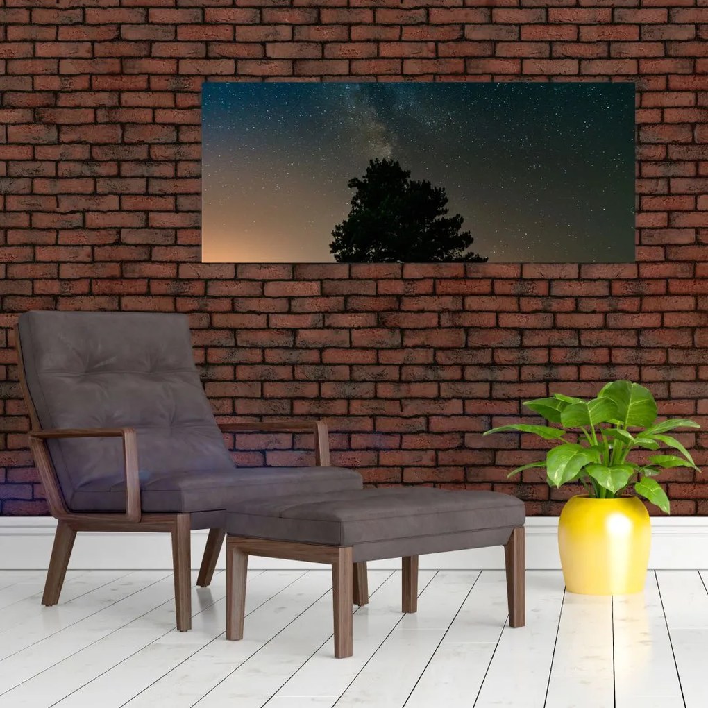 Obraz nočnej oblohy so stromami (120x50 cm)