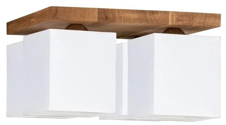 Spot-Light 2284474 - Stropné svietidlo INGER 4xE27/25W/230V