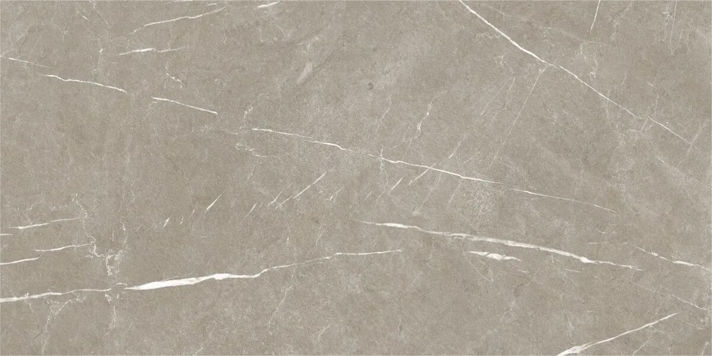 Dlažba Eternal Taupe Natural 60x120 R