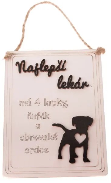 CARODOMOVAEU Závesná tabuľka Najlepší lekár