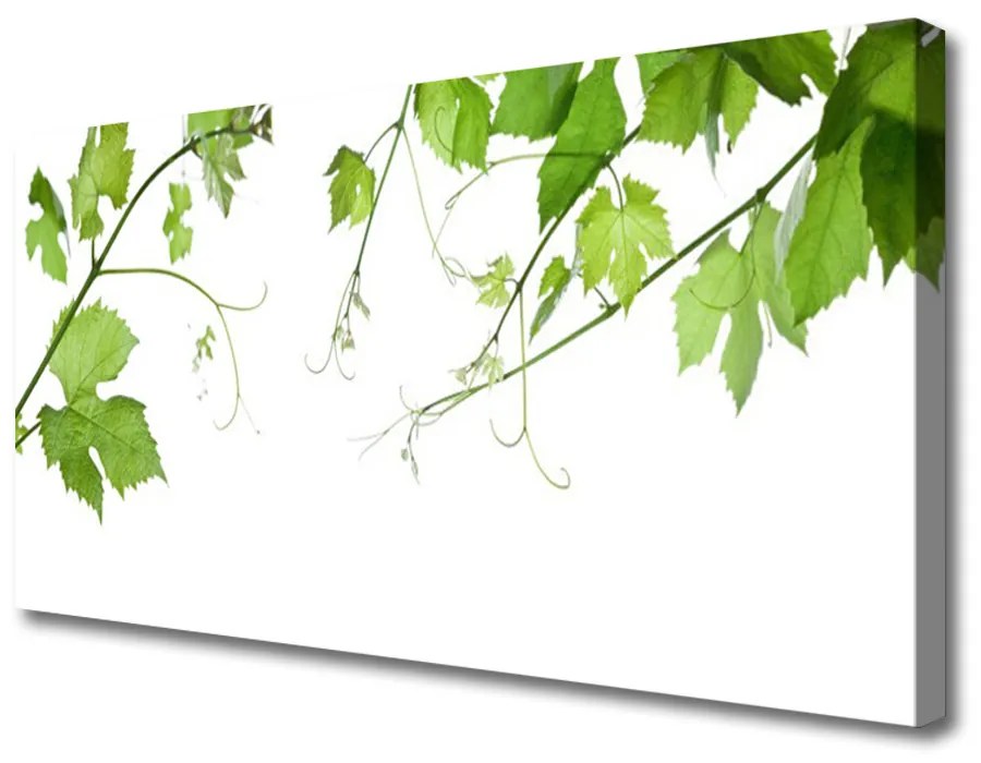 Obraz Canvas Vetvy listy príroda kvety 140x70 cm