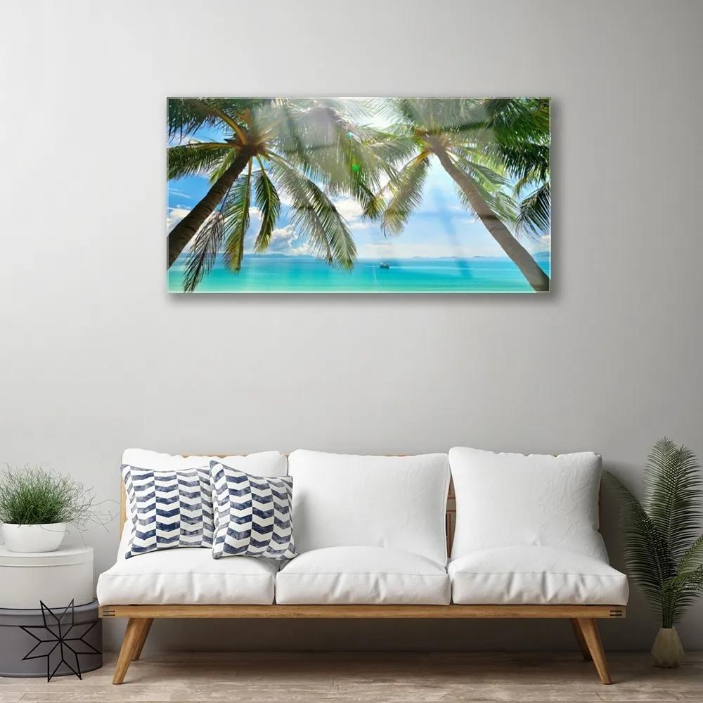 Skleneny obraz Palma strom more krajina 100x50 cm
