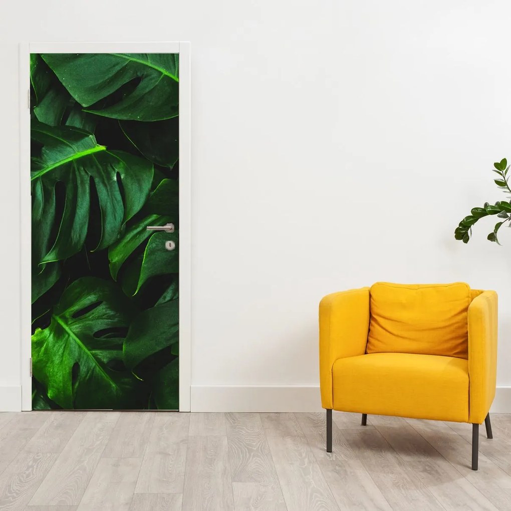 Fototapeta na dvere - Listy Monstery (95x205cm)