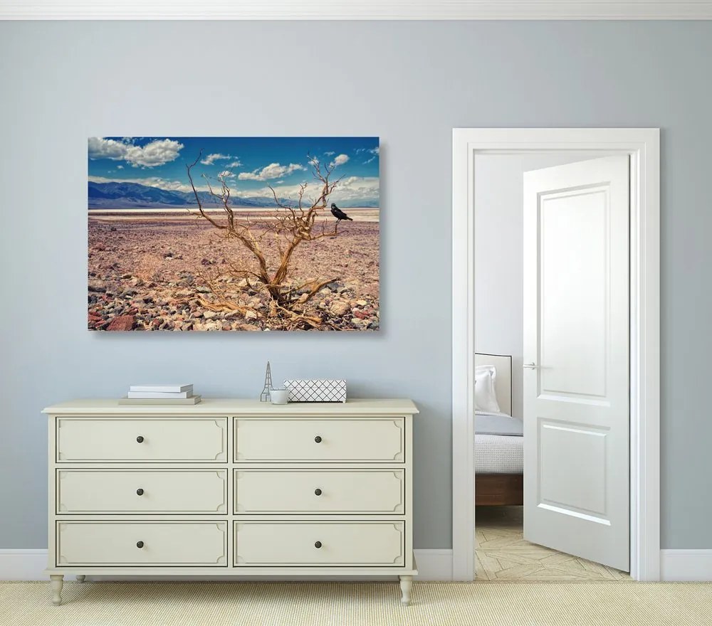 Obraz krajina sucha - 120x80