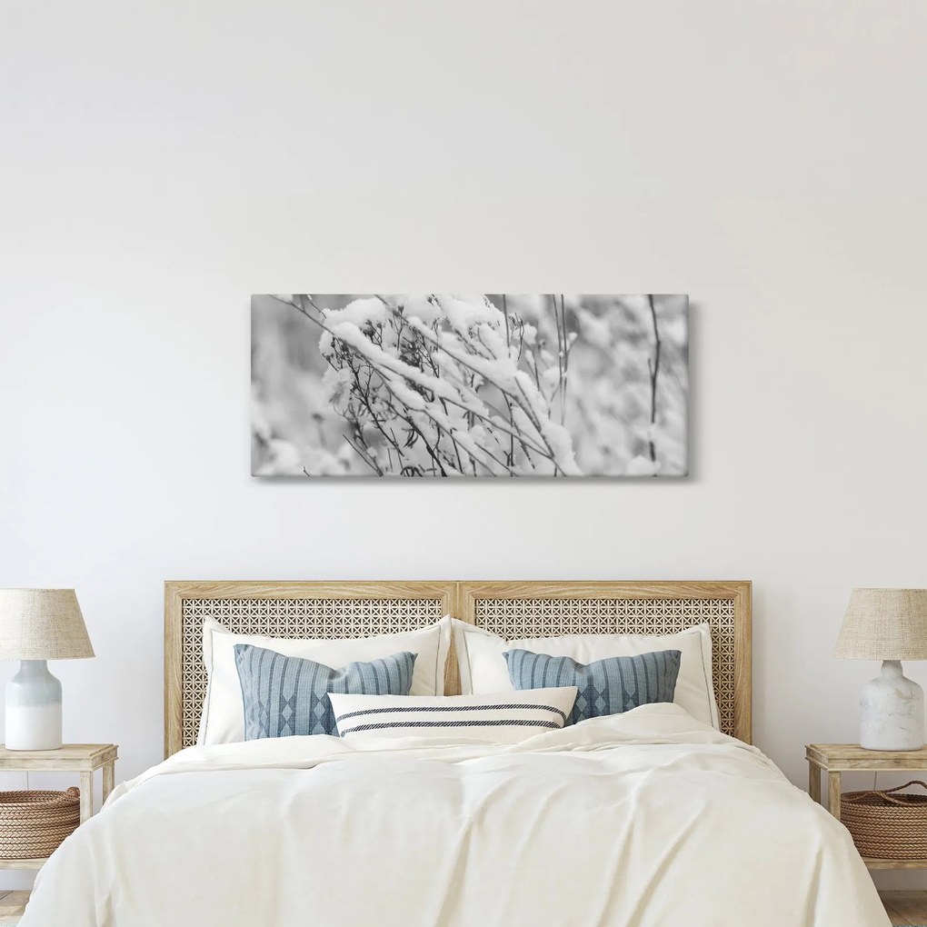 Obraz - Zasnežené vetvy (120x50 cm)