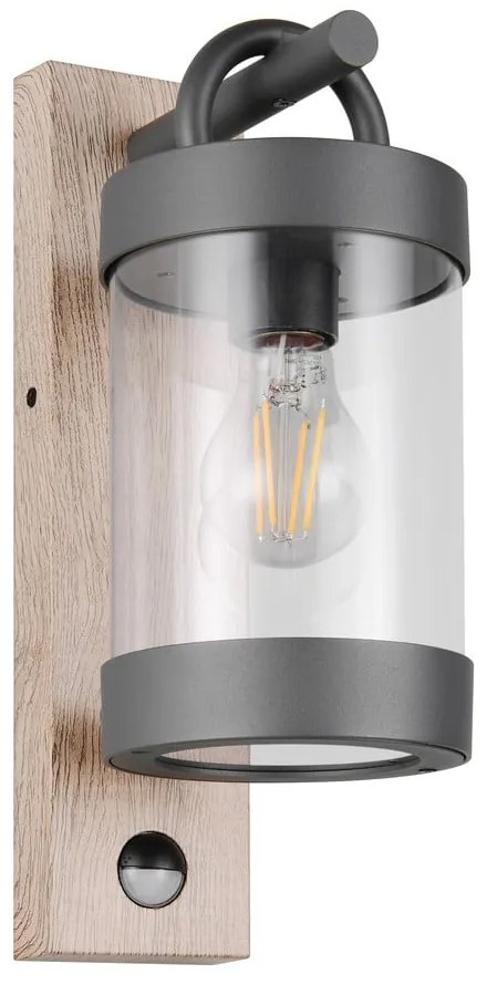 Nástenné vonkajšie svietidlo (výška 33 cm) Sambesi – Trio