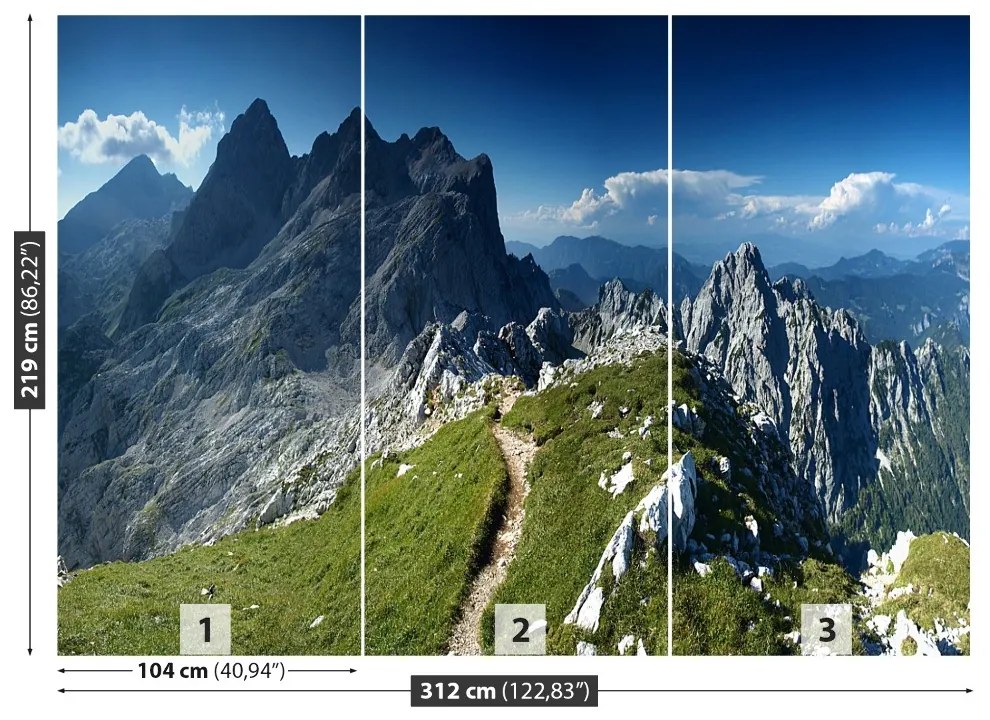 Fototapeta Vliesová Alpy slovinsko 208x146 cm
