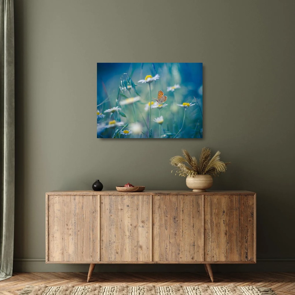 Sklenený obraz - Motýľ na sedmokráske (70x50 cm)
