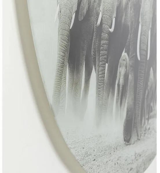 Elephant Walk sklenený obraz sivý Ø120cm