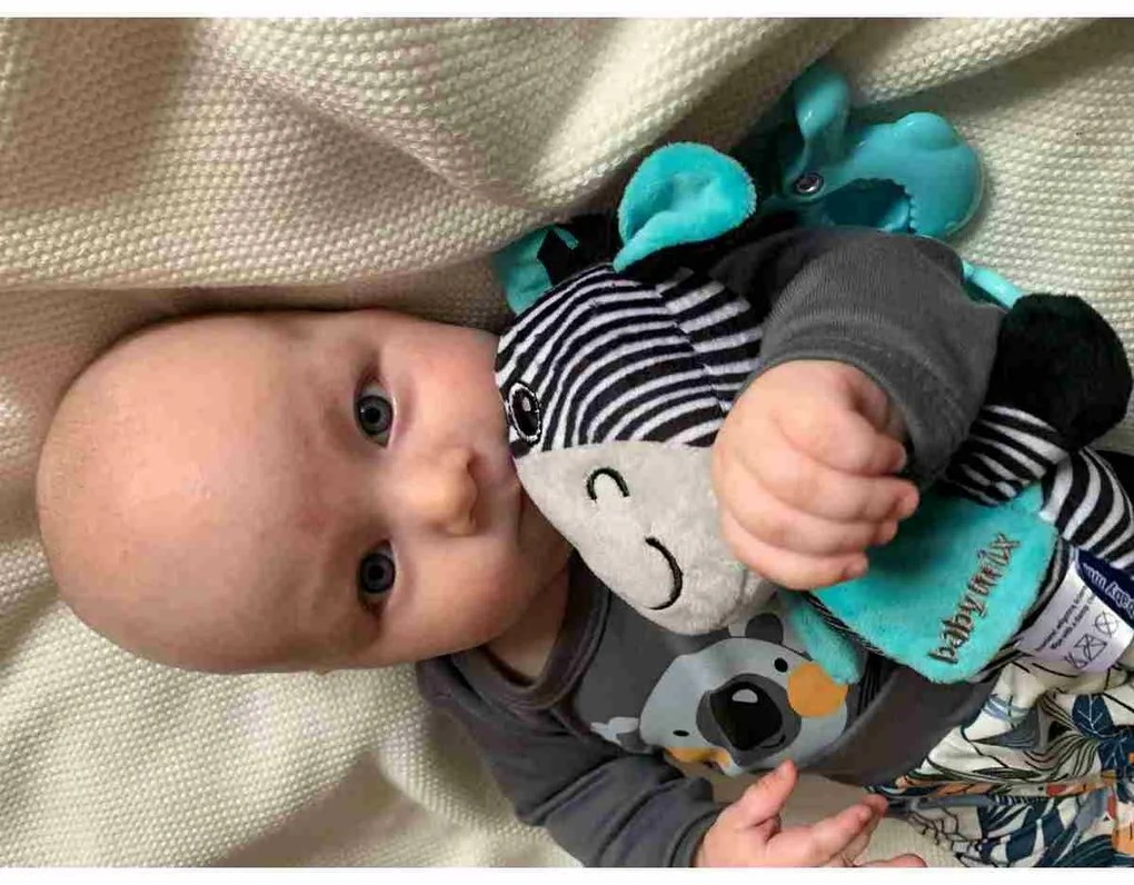 Baby Mix Vzdelávacia plyšová hračka so sponouZebra, 17 cm