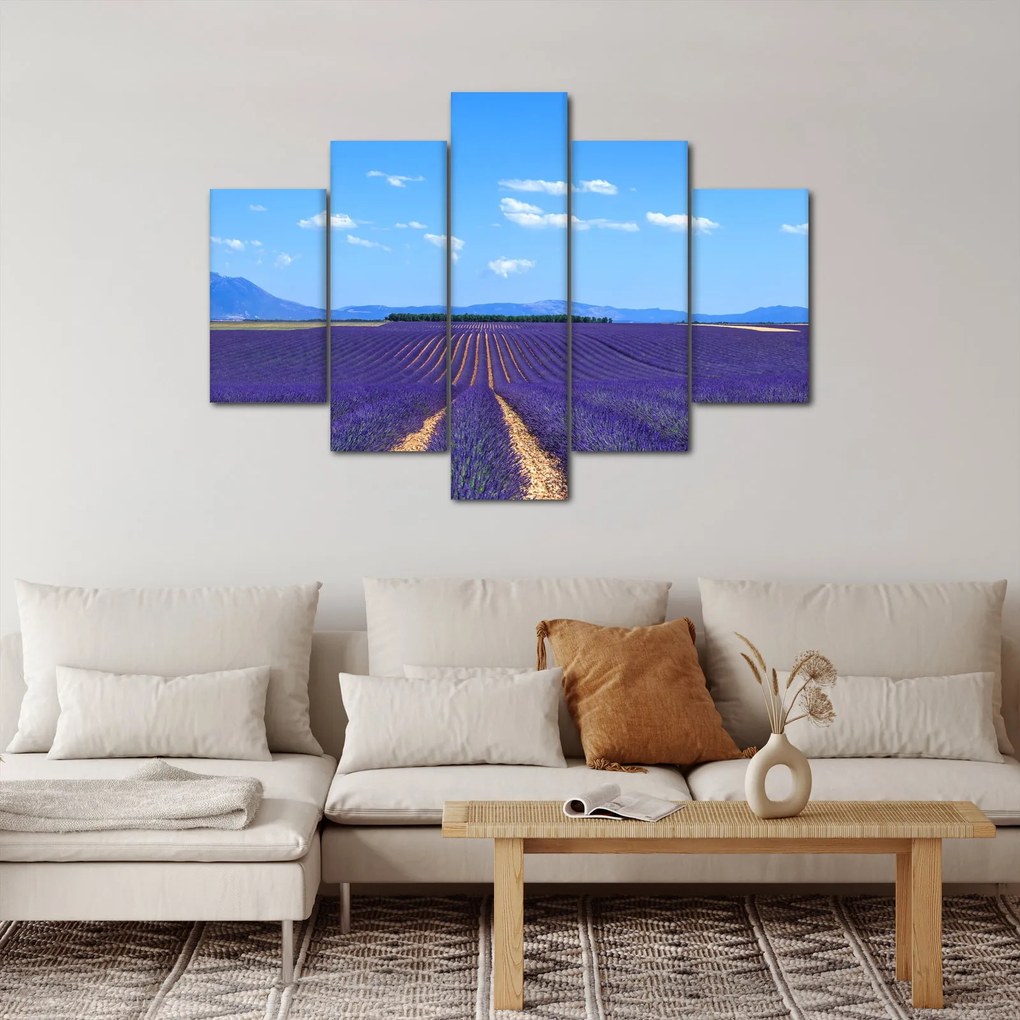 Obraz - Levanduľové pole (150x105 cm)