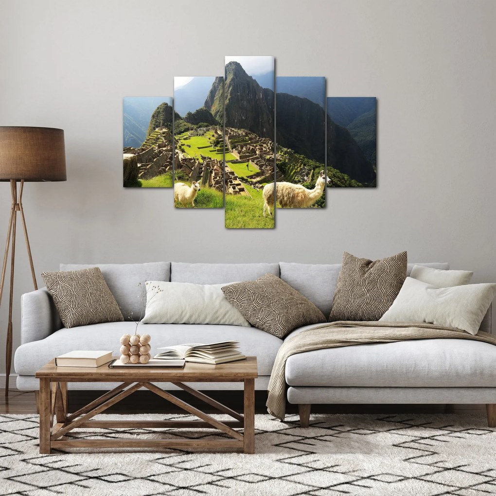 Obraz - Lamy v Machu Picchu (150x105 cm)