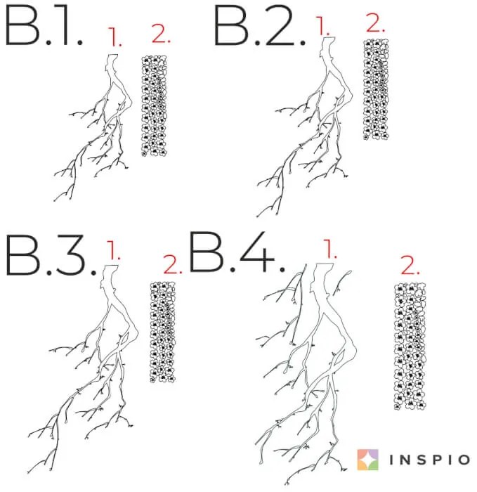 Nálepka na stenu - Sakura