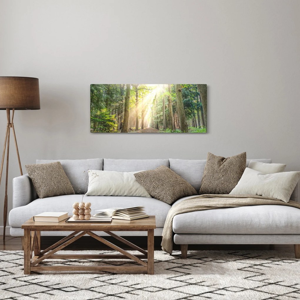 Obraz cestičky v lese (120x50 cm)