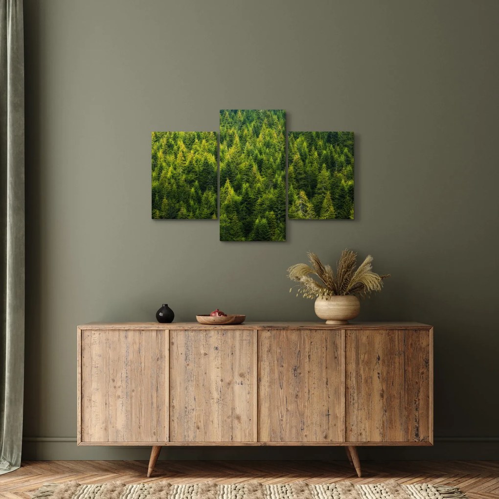 Obraz - Hustý les (90x60 cm)