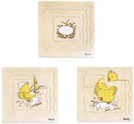 Viacvrstvové puzzle – vývoj sliepky