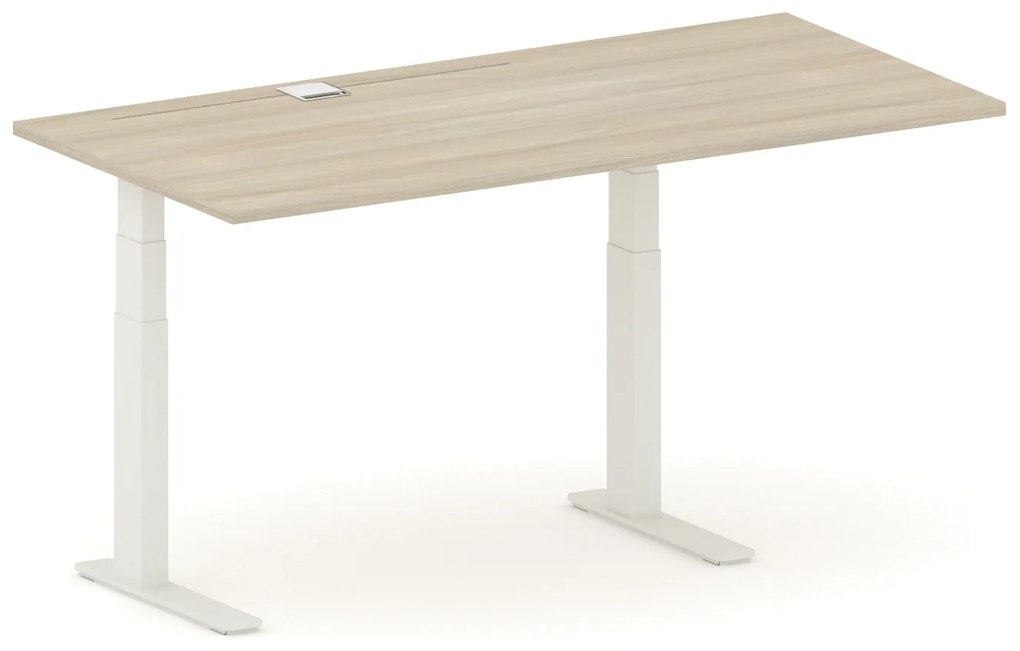 Výškovo nastaviteľný stôl FUTURE, 170x80 cm, 2 motory, biela/dub