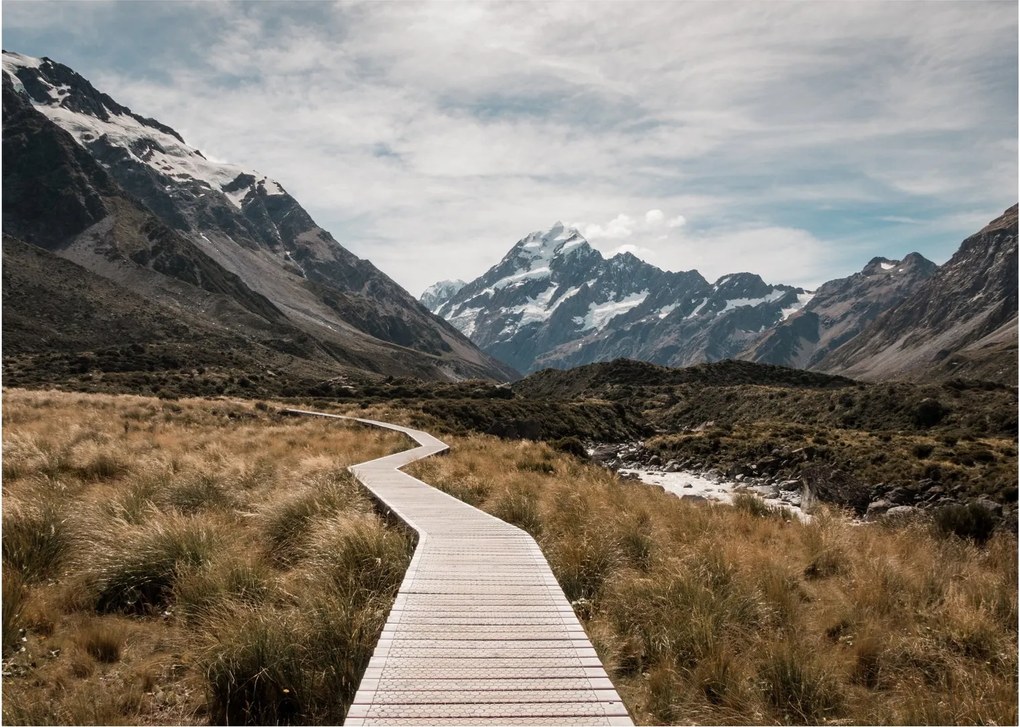 Sklenený obraz - Chodník v údolí hory Mt. Cook (70x50 cm)