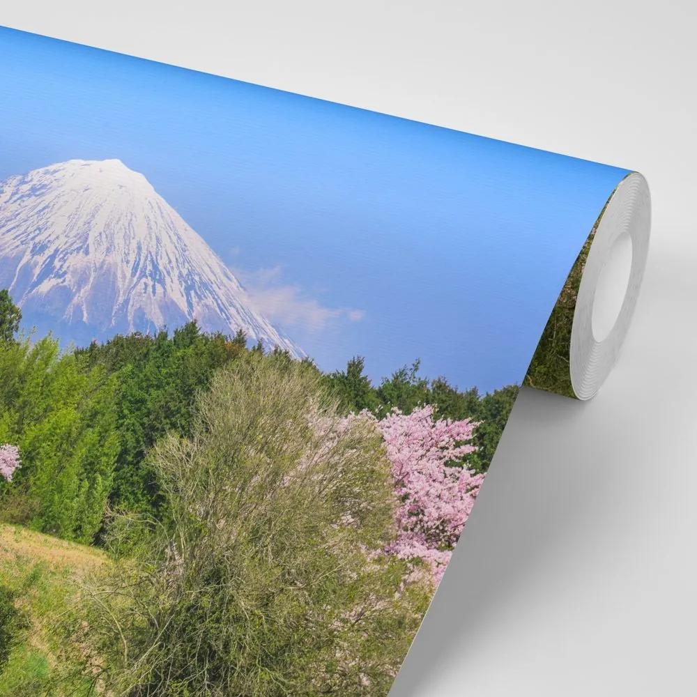 Samolepiaca fototapeta sopka Fuji - 450x300