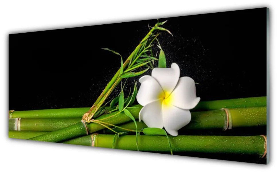 Obraz na akrylátovom skle Bambus kvet rastlina 125x50 cm