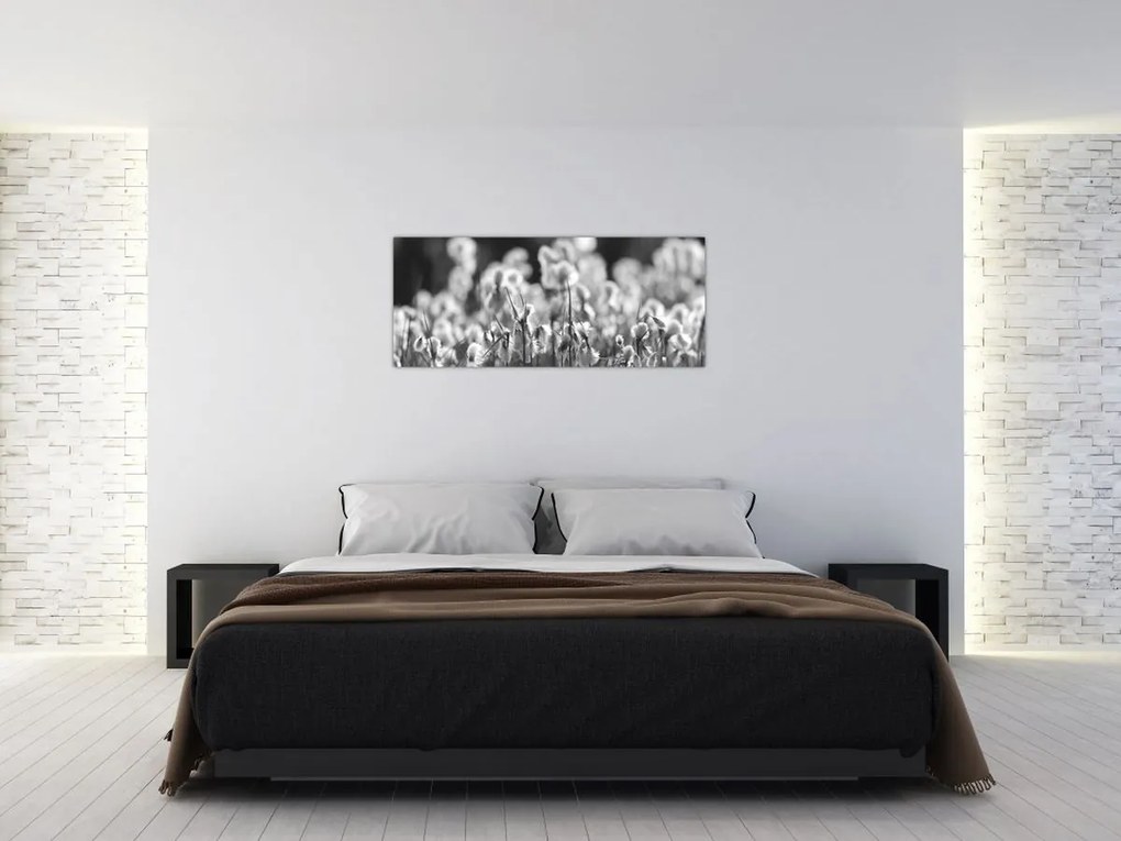 Obraz - Letná lúka (120x50 cm)