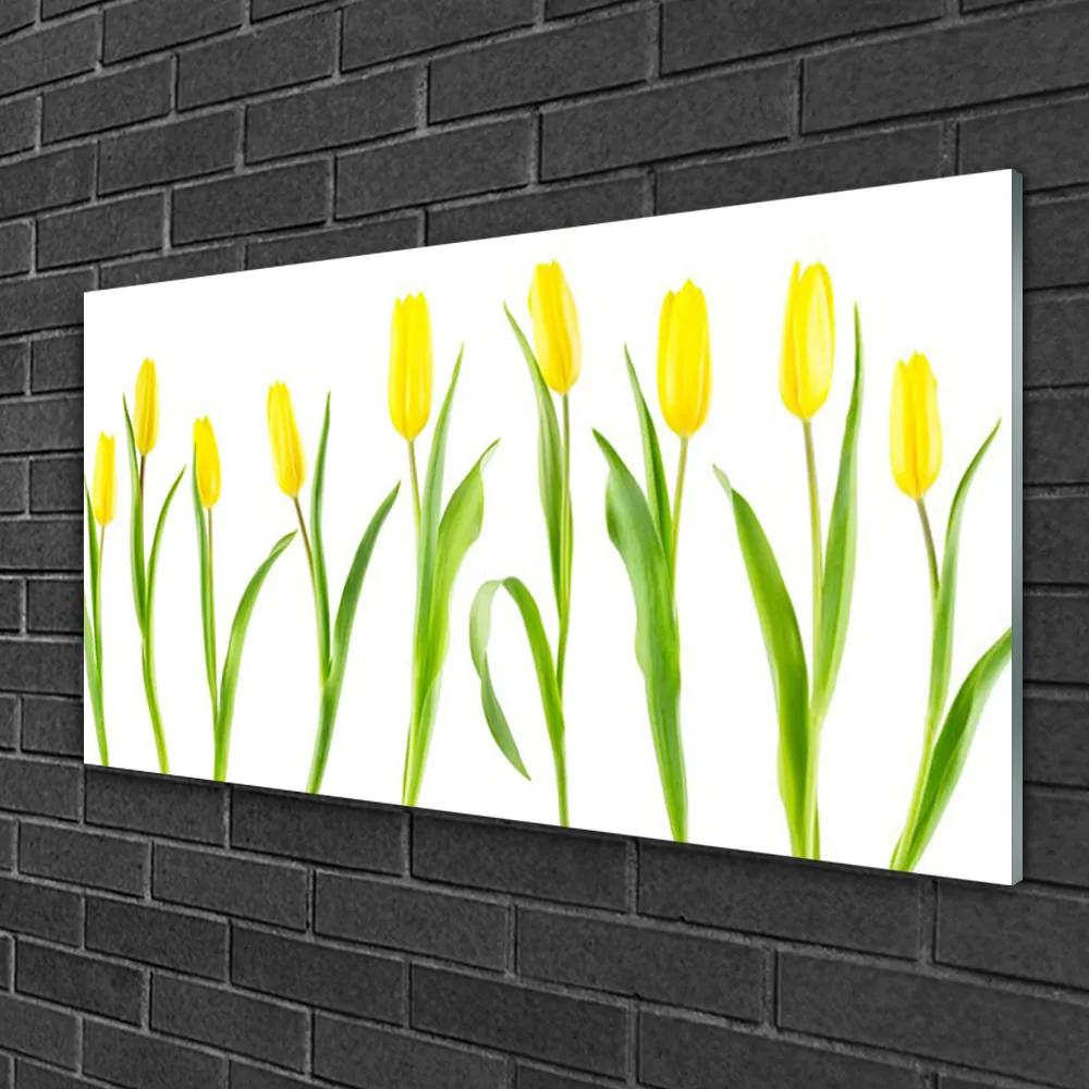 Skleneny obraz Žlté tulipány kvety 120x60 cm