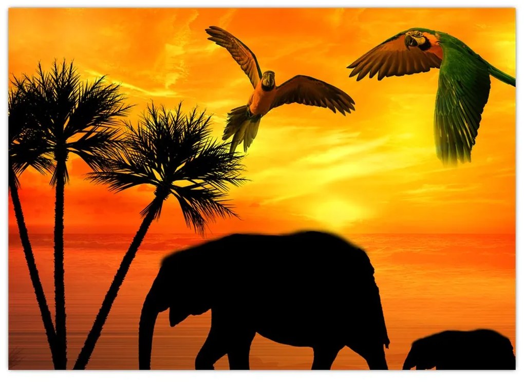 Sklenený obraz - papagáje a slony (70x50 cm)