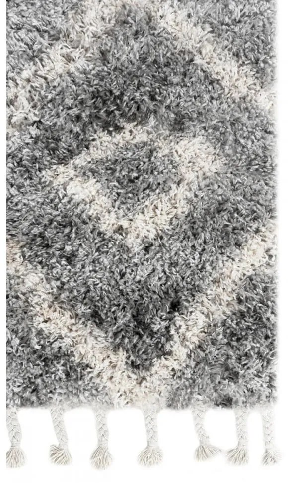 Kusový koberec shaggy Tizoc sivý 120x170cm