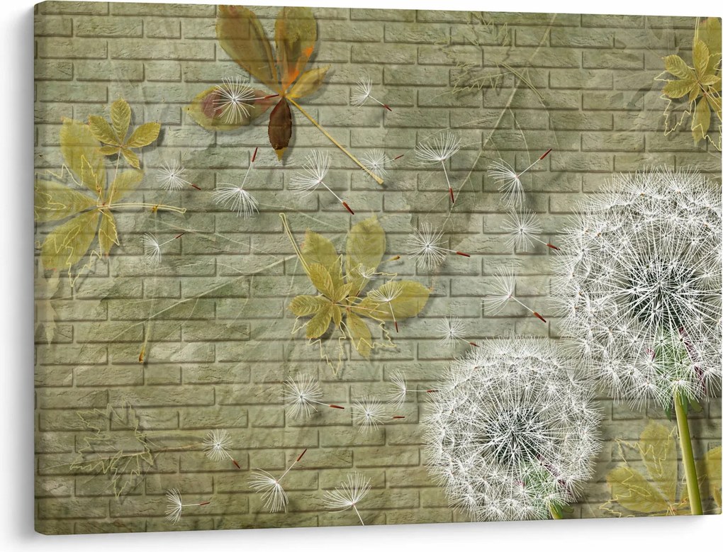Obraz - Púpavy unášané vetrom (70x50 cm)
