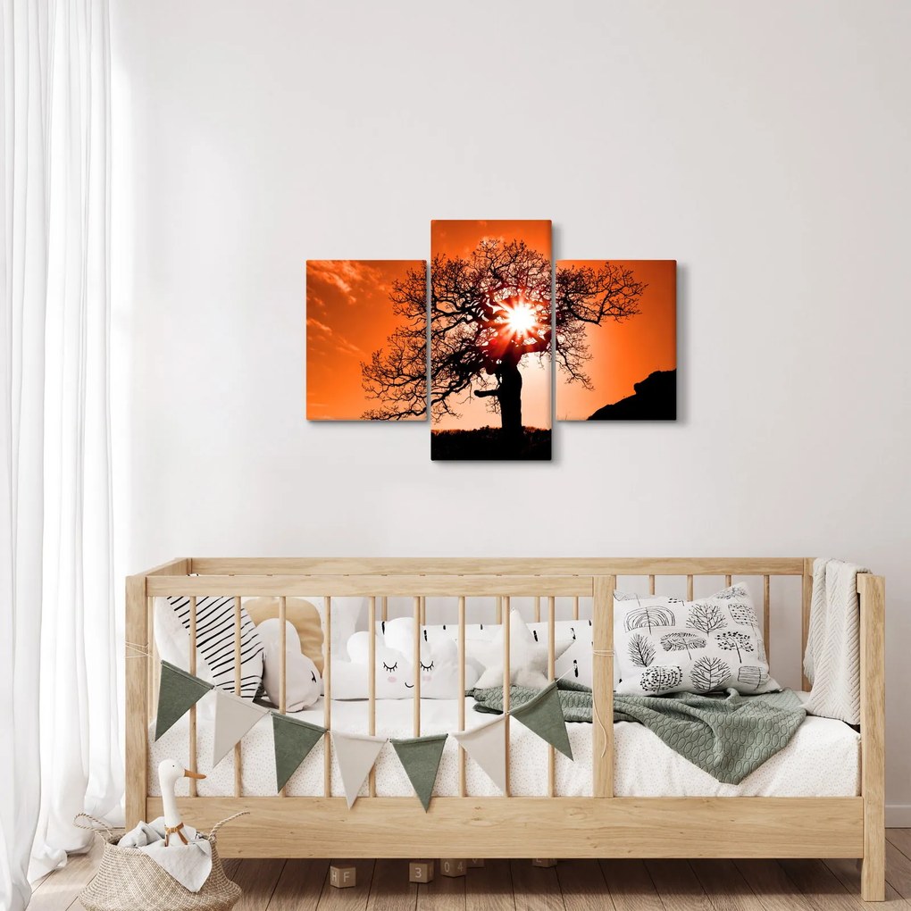 Obraz - Dub pri západe slnka (90x60 cm)