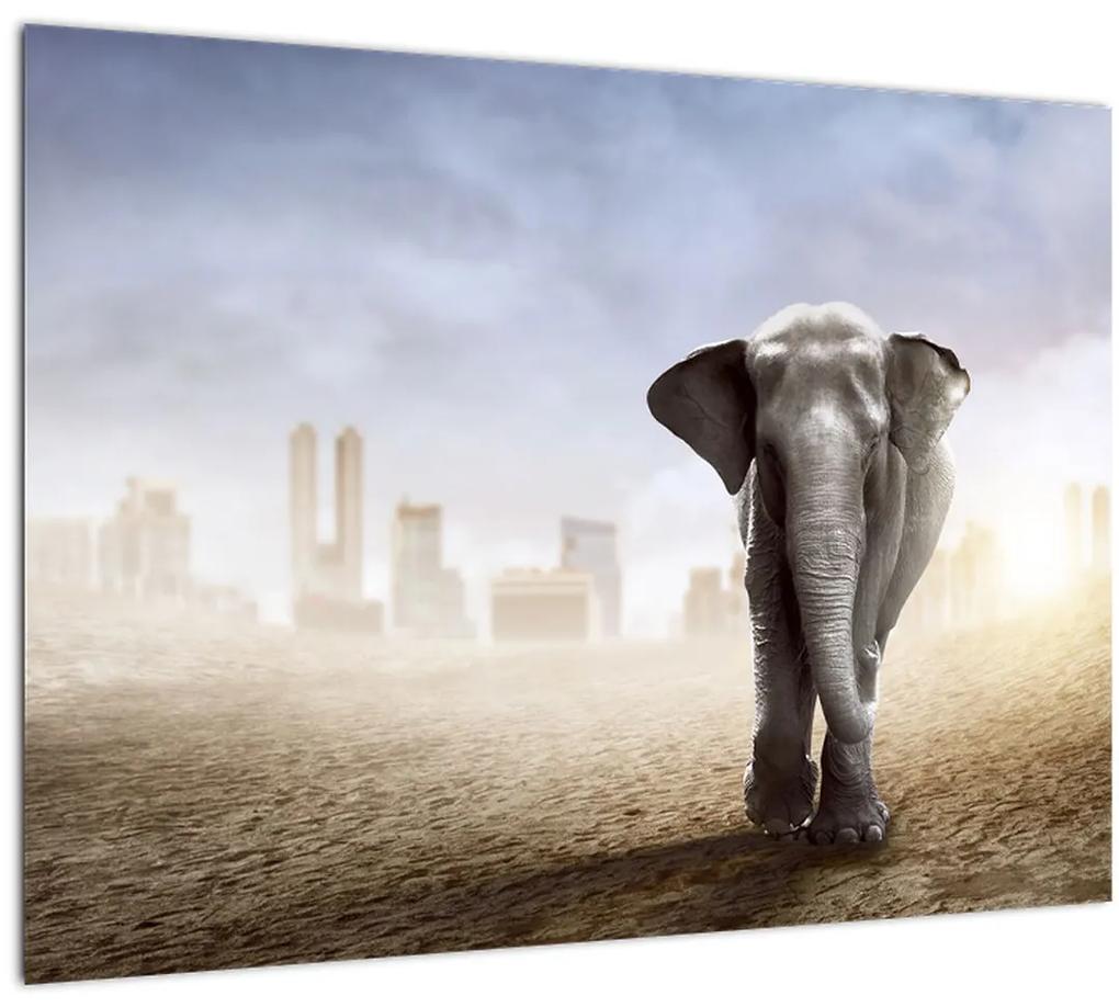 Sklenený obraz - Sloníčka vo veľkomeste (70x50 cm)
